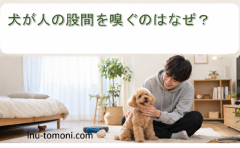 犬が人の股間を嗅ぐのはなぜ？