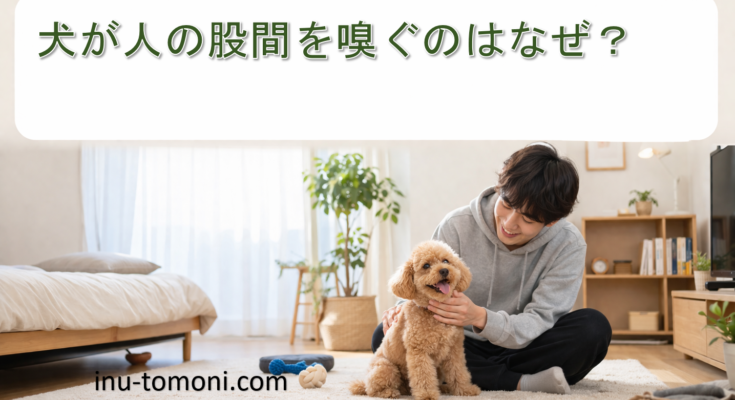 犬が人の股間を嗅ぐのはなぜ？