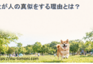 犬が人の真似をする理由とは？