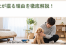 犬が掘る理由を徹底解説！