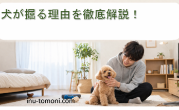 犬が掘る理由を徹底解説！