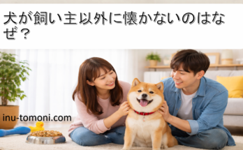 犬が飼い主以外に懐かないのはなぜ?
