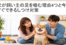 犬が飼い主の足を噛む理由4つと今すぐできるしつけ対策