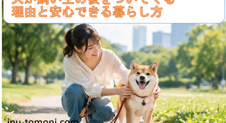 犬が飼い主の後をついてくる理由と安心できる暮らし方