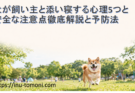 犬が飼い主と添い寝する心理5つと安全な注意点徹底解説と予防法