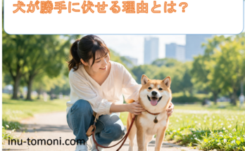 犬が勝手に伏せる理由とは？