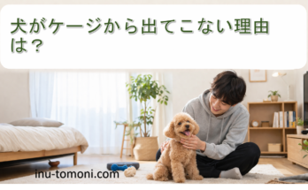 犬がケージから出てこない理由は？