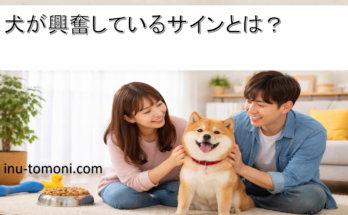 犬が興奮しているサインとは？