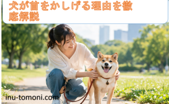 犬が首をかしげる理由を徹底解説