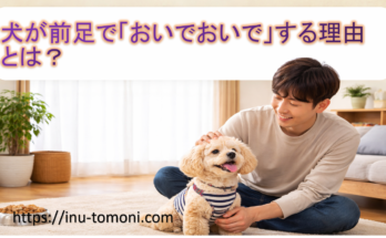 犬が前足で「おいでおいで」する理由とは?