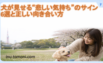犬が見せる“悲しい気持ち”のサイン6選と正しい向き合い方