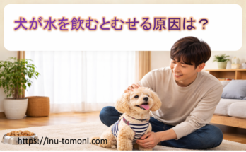 犬が水を飲むとむせる原因は？