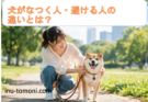 犬がなつく人・避ける人の違いとは?行動と心理から徹底解説