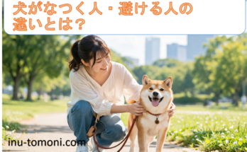 犬がなつく人・避ける人の違いとは?