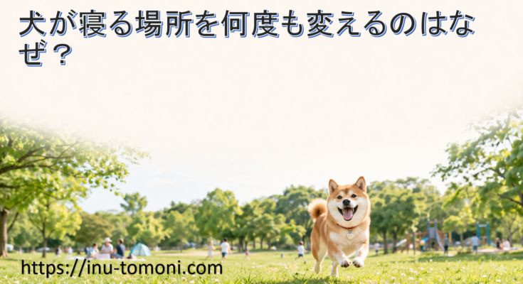 犬が寝る場所を何度も変えるのはなぜ？