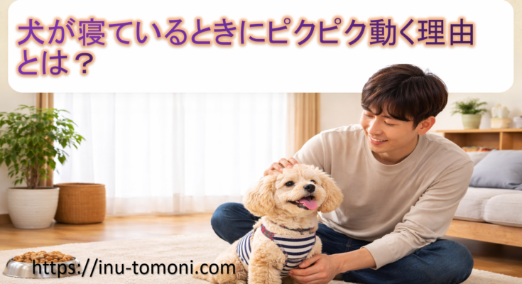 犬が寝ているときにピクピク動く理由とは？