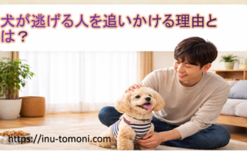 犬が逃げる人を追いかける理由とは？