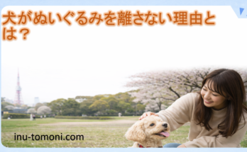 犬がぬいぐるみを離さない理由とは？