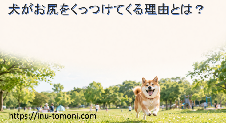 犬がお尻をくっつけてくる理由とは？