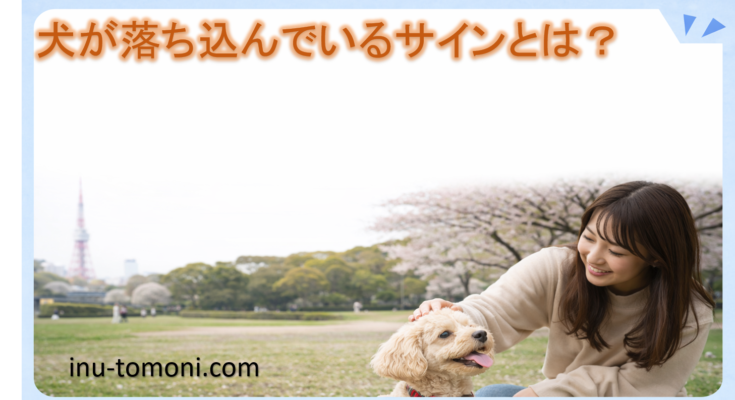 犬が落ち込んでいるサインとは？