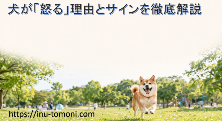 犬が「怒る」理由とサインを徹底解説