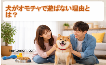 犬がオモチャで遊ばない理由とは？
