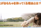 犬がおもちゃを持ってくる理由とは？