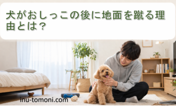 犬がおしっこの後に地面を蹴る理由とは？