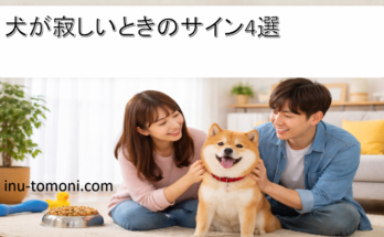 犬が寂しいときのサイン4選