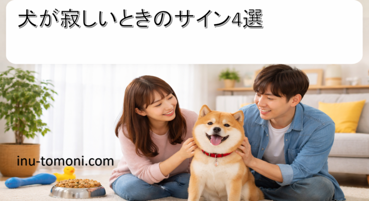 犬が寂しいときのサイン4選