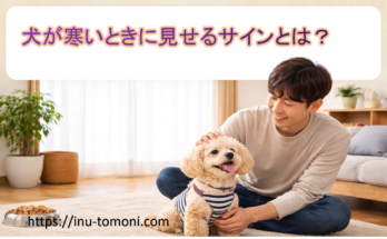犬が寒いときに見せるサインとは？