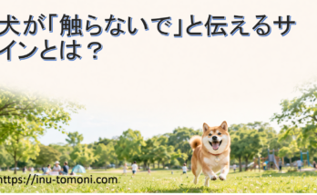 犬が「触らないで」と伝えるサインとは？