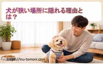 犬が狭い場所に隠れる理由とは？