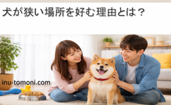 犬が狭い場所を好む理由とは？