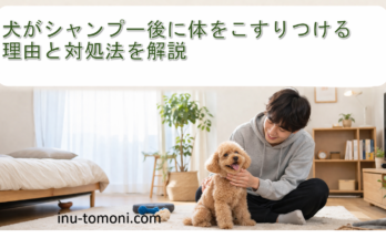 犬がシャンプー後に体をこすりつける理由と対処法を解説