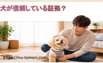 犬が信頼している証拠？