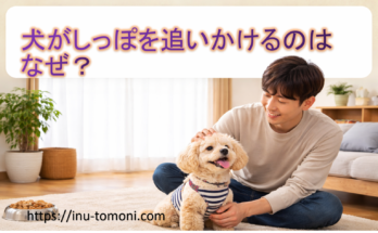 犬がしっぽを追いかけるのはなぜ？