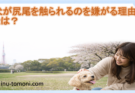 犬が尻尾を触られるのを嫌がる理由とは？心理と正しい接し方