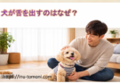 犬が舌を出すのはなぜ？