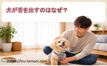 犬が舌を出すのはなぜ？