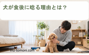 犬が食後に唸る理由とは?