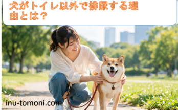犬がトイレ以外で排尿する理由とは？