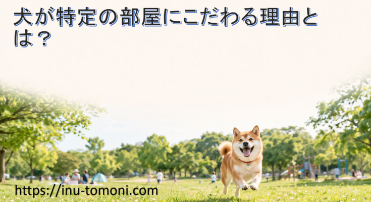 犬が特定の部屋にこだわる理由とは？