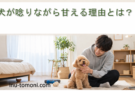 犬が唸りながら甘える理由とは?見分け方と正しい対応法