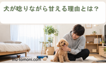 犬が唸りながら甘える理由とは?