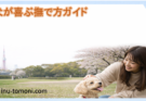 犬が喜ぶ撫で方ガイド｜好まれる部位とNGポイントを解説