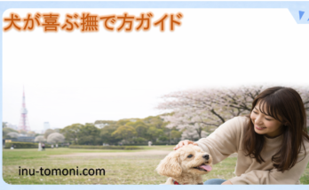 犬が喜ぶ撫で方ガイド