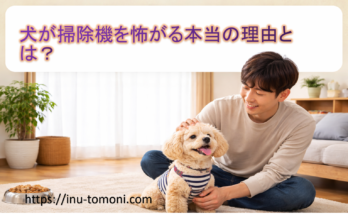 犬が掃除機を怖がる本当の理由とは？
