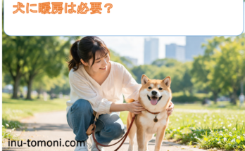 犬に暖房は必要？