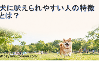 犬に吠えられやすい人の特徴とは？